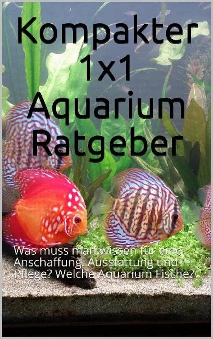 Kompakter 1x1 Aquarium Ratgeber