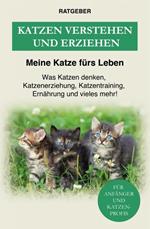 Katzen verstehen und erziehen