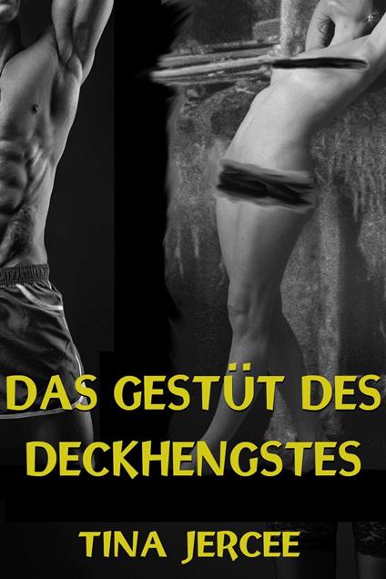 Das Gestüt des Deckhengstes