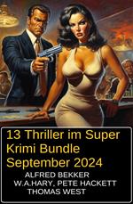 13 Thriller im Super Krimi Bundle September 2024