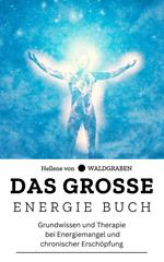 Das große Energie Buch: Grundwissen und Therapie bei Energiemangel und chronischer Erschöpfung: NEU