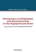 Mechanisms of Adaptation and Reconstruction in the Hypoperfused Brain