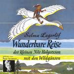 Wunderbare Reise des kleinen Nils Holgersson mit den Wildgänsen