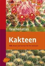 Kakteen