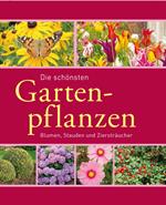 Die schönsten Gartenpflanzen