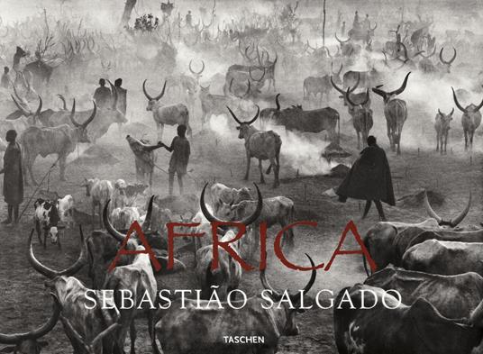 Sebastião Salgado. Africa. Ediz. italiana, portoghese e spagnola - Mia Couto,Sebastião Salgado - copertina