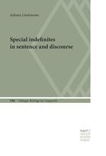 Special Indefinites in Sentence and Discourse