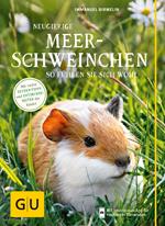 Neugierige Meerschweinchen