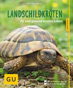 Landschildkröten