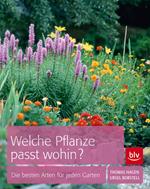 Welche Pflanze passt wohin?