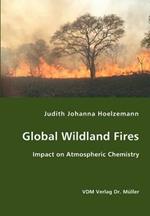 Global Wildland Fires