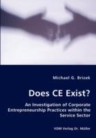 Does CE Exist? - An Investigation of Corporate Entrepreneurship Practices within the Service Sector