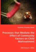 Processes That Mediate the Effect of Community Factors on Child Maltreatment