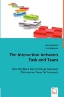 The Interaction between Task and Team