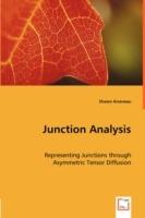 Junction Analysis