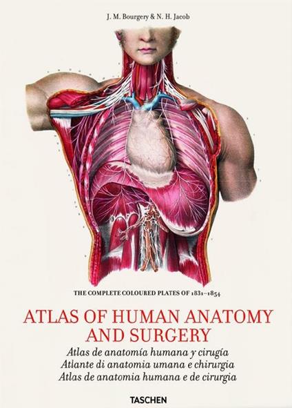 Atlas of human anatomy and surgery. Ediz. italiana, portoghese e spagnola - Jean-Baptiste Bourgery,Nicolas H. Jacob - copertina