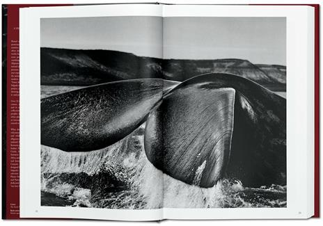 Sebastião Salgado. Genesi - 3