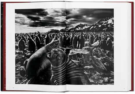 Sebastião Salgado. Genesi - 4