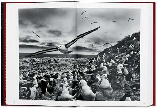 Sebastião Salgado. Genesi - 10