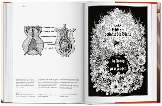 Fritz Kahn. Infographics pioneer. Ediz. italiana, spagnola e inglese - Uta von Debschitz,Thilo von Debschitz - 7