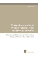 Energy Landscapes of Protein Folding: From Structure to Function