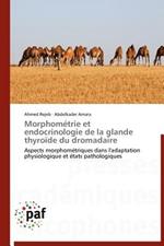 Morphometrie Et Endocrinologie de la Glande Thyroide Du Dromadaire