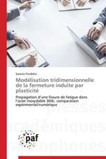 Modelisation Tridimensionnelle de la Fermeture Induite Par Plasticite