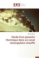 Etude D Un Panache Thermique Dans Un Canal Rectangulaire Chauff 