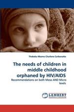 The needs of children in middle childhood orphaned by HIV/AIDS