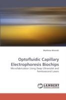 Optofluidic Capillary Electrophoresis Biochips