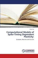 Computational Models of Spike-Timing Dependent Plasticity