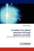 Condition for global minimum through abstract convexity