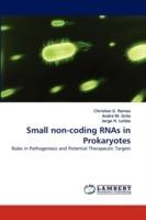 Small Non-Coding Rnas in Prokaryotes