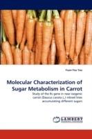 Molecular Characterization of Sugar Metabolism in Carrot