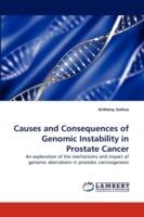 Causes and Consequences of Genomic Instability in Prostate Cancer