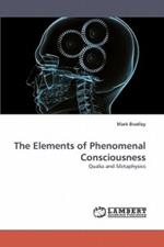 The Elements of Phenomenal Consciousness