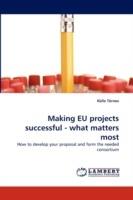 Making Eu Projects Successful - What Matters Most