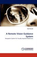 A Remote Vision Guidance System