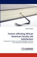 Factors affecting African American Faculty Job Satisfaction