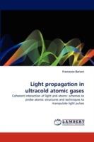 Light Propagation in Ultracold Atomic Gases