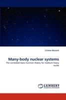 Many-Body Nuclear Systems