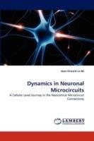 Dynamics in Neuronal Microcircuits