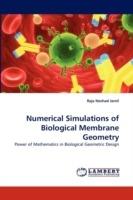Numerical Simulations of Biological Membrane Geometry