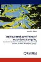 Dorsoventral patterning of maize lateral organs.