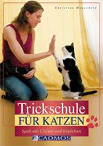 Trickschule für Katzen