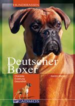 Deutscher Boxer