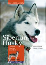 Siberian Husky