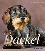 Dackel