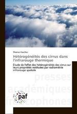 Heterogeneites des cirrus dans l'infrarouge thermique