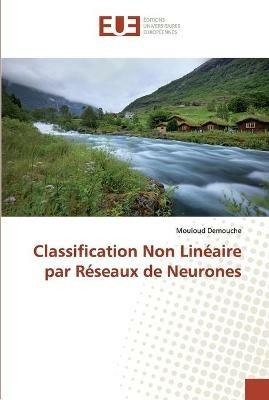 Classification Non Lineaire par Reseaux de Neurones - Mouloud Demouche - cover